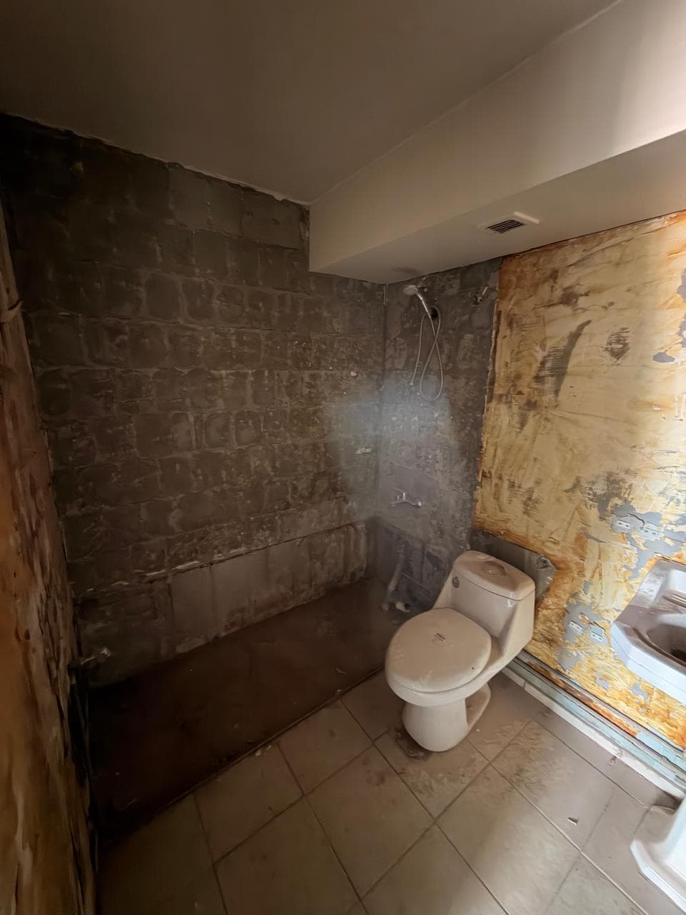 Baño en demolición, antes de la remodelación